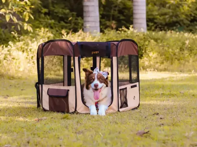 Casinha Cercadinho Portátil Dobrável Cães Gatos - Mee Pets