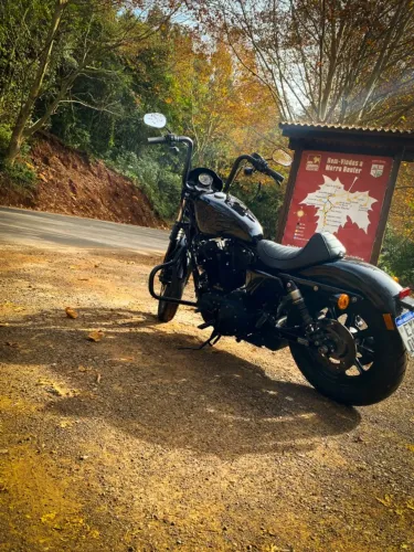 Harley Davidson Sportster Iron 1200 - 2019