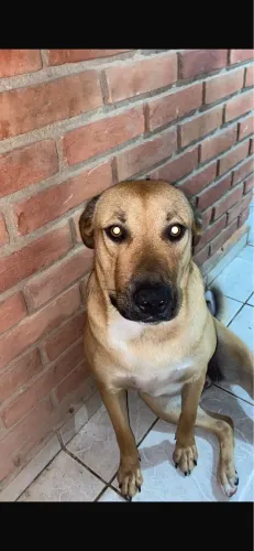 Doasse esses dois neném 