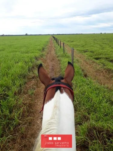 Fazenda para Venda em Barra do Garças