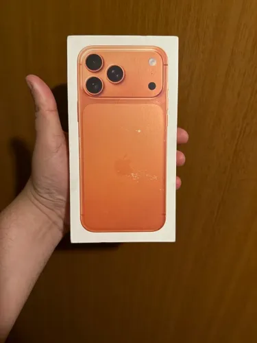 17 Pro Max