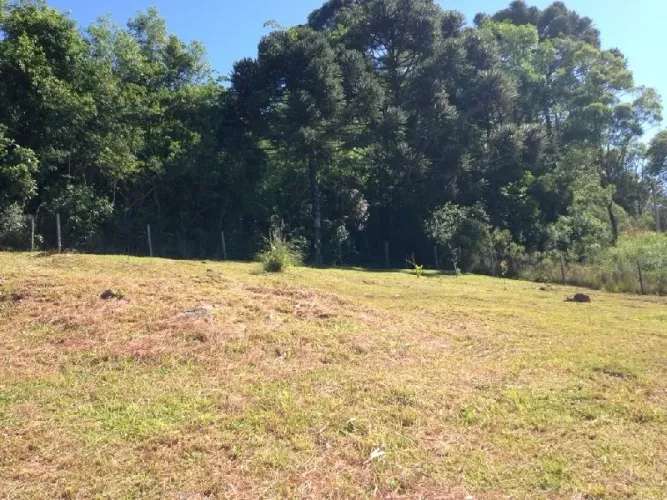 Terreno Santa Catarina Caxias do Sul