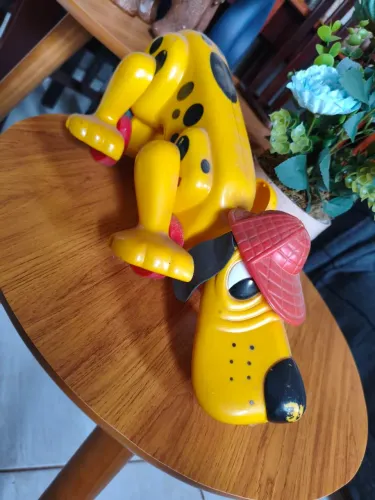 Cachorro Xereta Estrela 