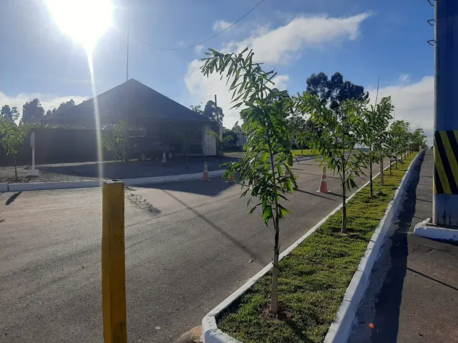 Lotes em Barbacena  MG 