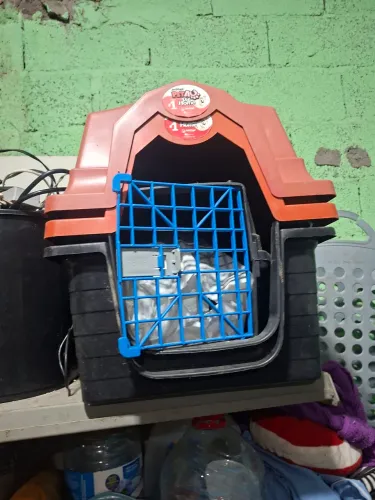 Casa de cachorro