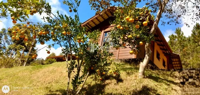 Sítio com 4,5 alqueires à venda em São Bento de Urânia-ES, casa, cachoeira, área de lazer