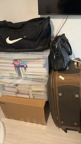 Lote Gigante de Livros: Direito, Computação, Exatas e Geral (~350 vols)