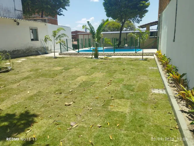 Grama Esmeralda e Jardinagem 