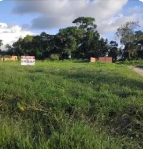 Dois terrenos na Volta, atrás da delegacia!!