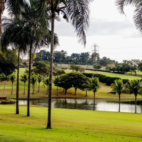 Lote no Reserva do Ipe | Aqui na Rosa e Rangel Consultoria e Assessoria Imobiliária