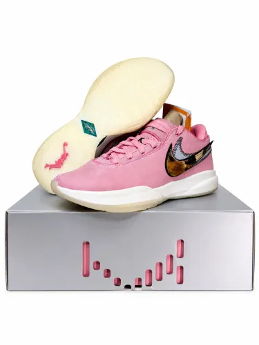 Nike LeBron XX