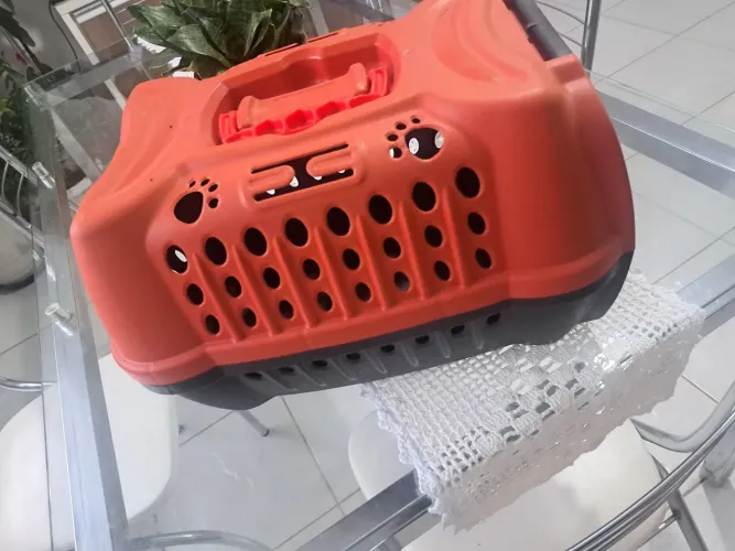 Caixa transporte pet