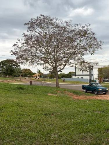 Terreno no asfalto acima da média 477 m2