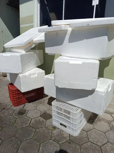 Caixa térmica de isopor 50 litros