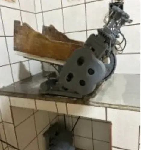 Vendo cilindro de massa de pastel , modelo leão 