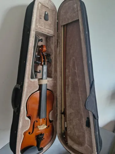 Violino Parrot 4/4