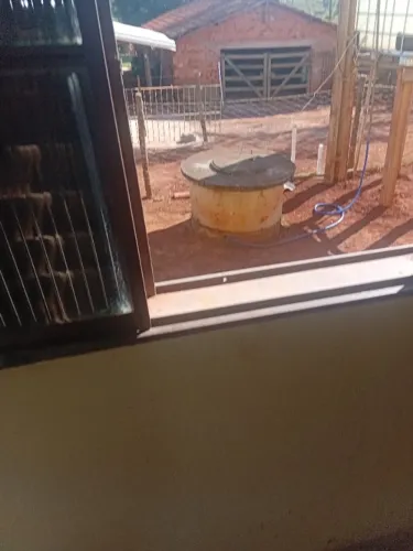Trabalhador com gado confinado e serviço gerais