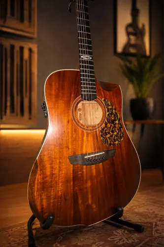 Violão strinberg galaxy + encordoamento elixir ( em estado de novo )