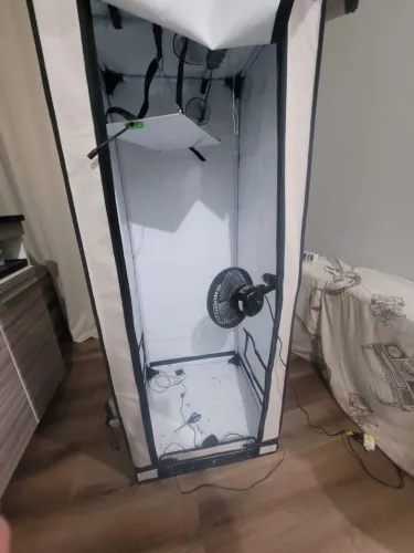 Grow / QB / Quantum Board / cultivo