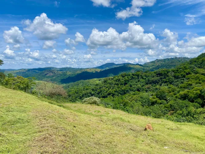 Terreno com 491 m² e cercado pela natureza para venda