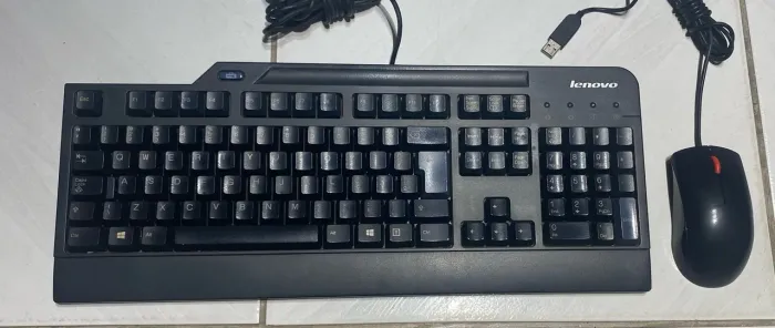 Mouse