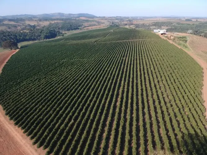 Magnífica Fazenda de 177 Hectares à Venda São Gonçalo do Sapucaí - Sul de Minas Gerais