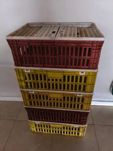 CAIXAS PARA TRANSPORTAR FRANGOS/GALINHAS