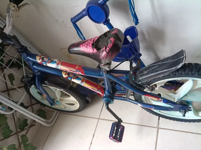 Bicicleta