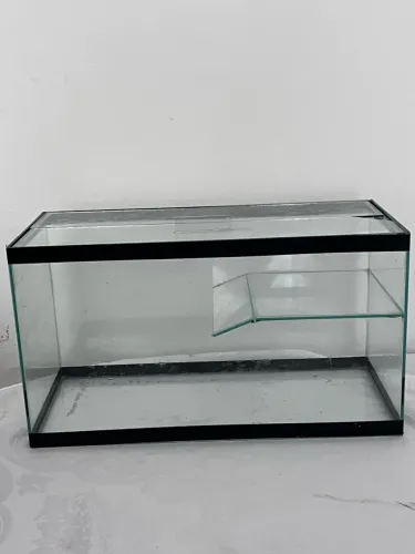 Aquaterrário de vidro - 45 x 25 x 20 cm