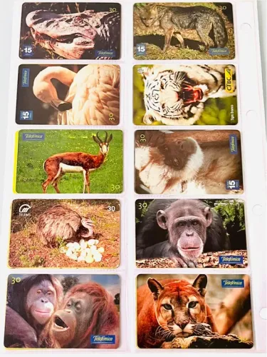 Kit Com 20 Cartões Telefônicos Diversos Animais 