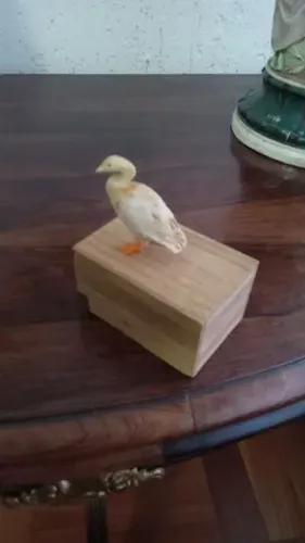 Lindo Netsuk Marfim Japonês