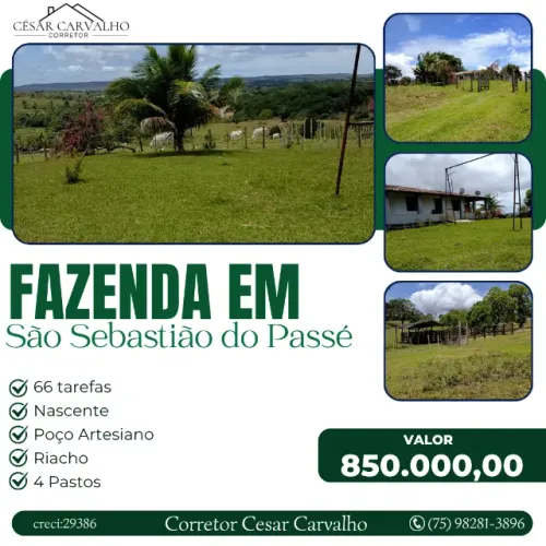 FAZENDA EM SÃO SEBASTIÃO DO PASSÉ - 66 TAREFAS