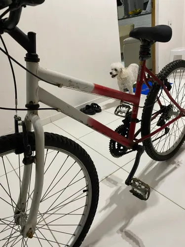 Vendo bicicleta