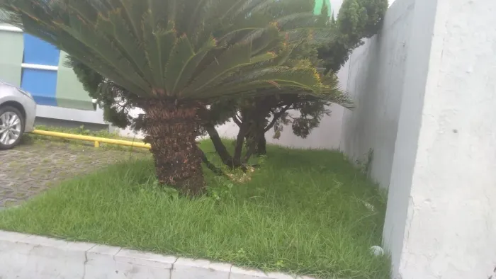 Jardineiro profissional