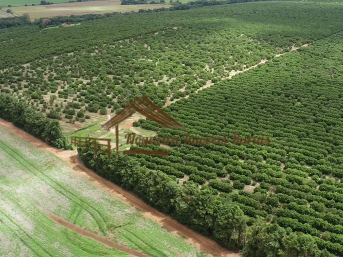 Fazenda com 300 alqueires na região de Avaré-SP