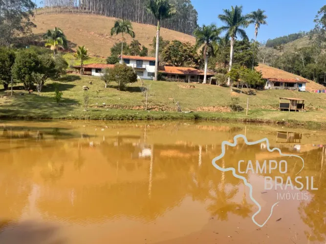 Linda fazenda de 86 alqueires em produção! Com 40 aq de Eucalipto!