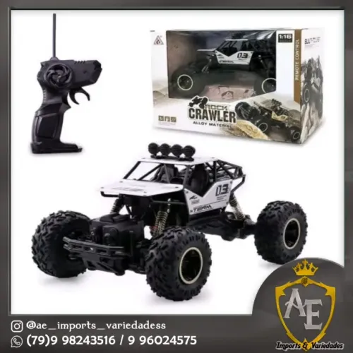 carro com controle remoto