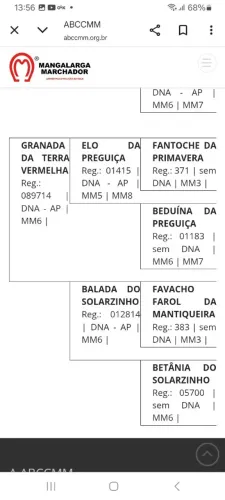Vendo egua mangalarga marchador 50%