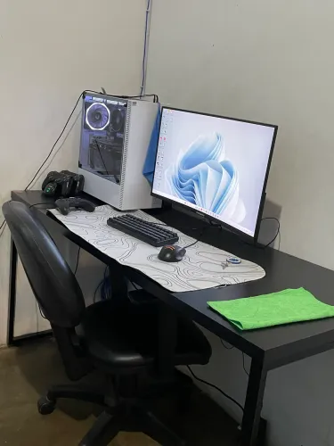 Pc gamer