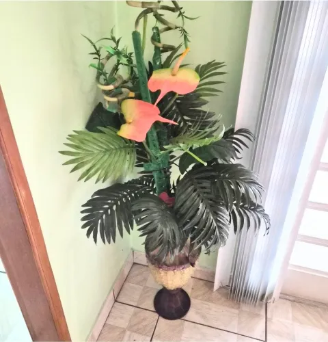 Vaso com plantas R$ 100