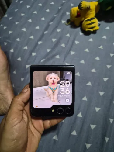 Celular z flip 5 512 gb
