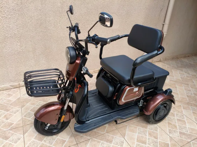 Triciclo elétrico Zig 650w 48v