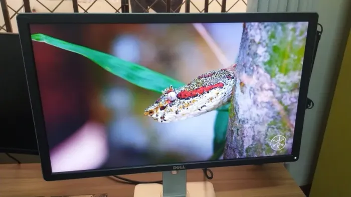 Monitor Dell P2714H 27" LED Full HD IPS - Ajustável + Suporte Original