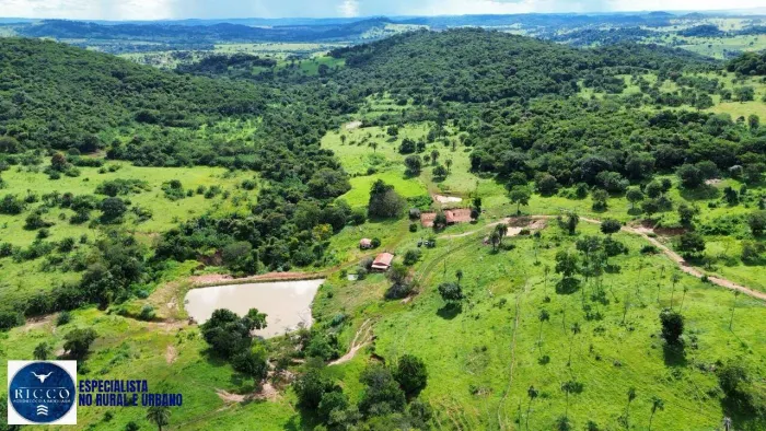 FAZENDA À VENDA 62 ALQUEIRES CATURAÍ/GO A 35 KM DE GOIÂNIA