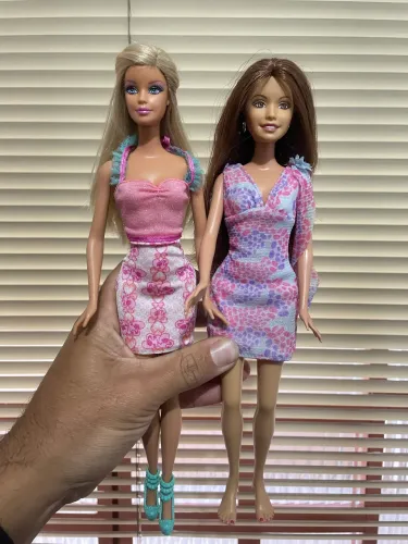 Lote de barbies