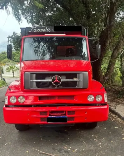 Mercedes-Benz 1620 Boiadeiro Toco Anos 2010.