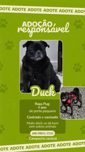 Doação responsável