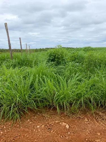 Vendo lote no vila Verde formosa Goiás 