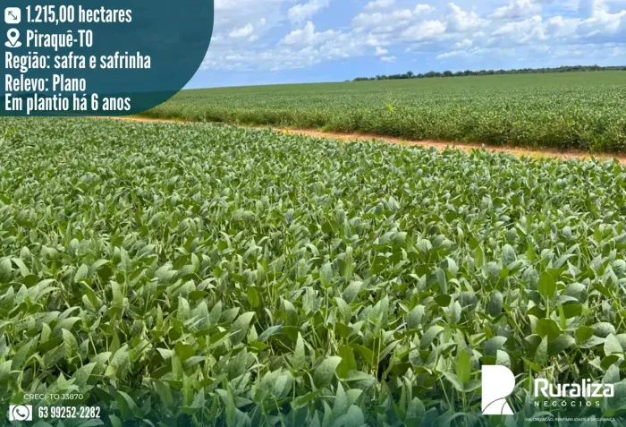 45 SACAS/HA NA SOJA | 300 HA DE POTENCIAL | COUTO MAGALHÃES