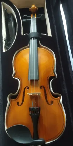 Violino 4/4